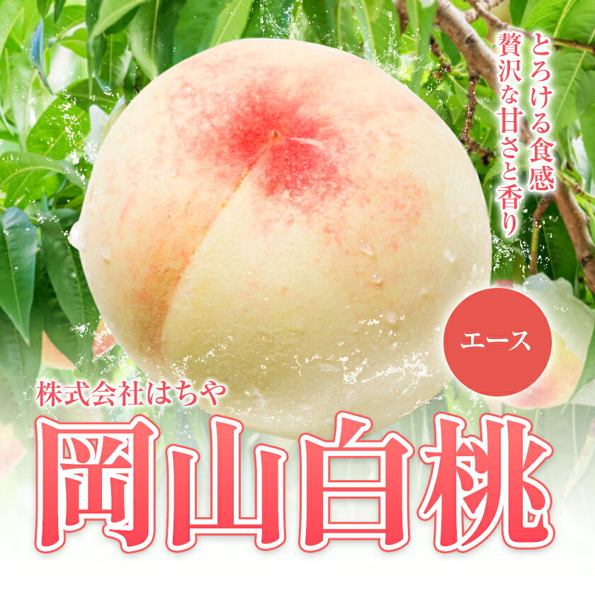 【ふるさと納税】【2026年先行予約】岡山白桃 等級 エース 【選べる】約600g~2.4kg 《2026年7月上旬‐8月下旬頃出荷》株式会社 はちや もも モモ 岡山 国産 フルーツ 果物 岡山県 浅口市 フルーツ モモ 果物 青果 旬 白桃 国産 岡山県産【配送不可地域あり】 サムネイル2