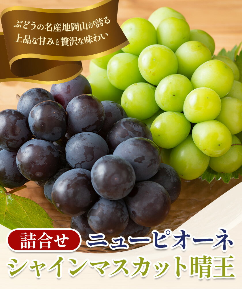 【ふるさと納税】【2026年先行予約】 岡山県産 シャインマスカット「晴王」とニューピオーネ 選べる L～3L 計800g～1.2kg 株式会社はちや《2026年8月下旬‐9月下旬頃頃出荷》岡山県 浅口市 ぶどう 葡萄 フルーツ ギフト 果物 デザート 国産 送料無料【配送不可地域あり】 サムネイル2