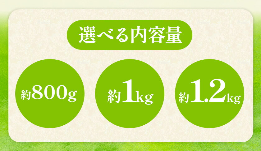 【ふるさと納税】【2026年先行予約】 岡山県産 シャインマスカット「晴王」とニューピオーネ 選べる L～3L 計800g～1.2kg 株式会社はちや《2026年8月下旬‐9月下旬頃頃出荷》岡山県 浅口市 ぶどう 葡萄 フルーツ ギフト 果物 デザート 国産 送料無料【配送不可地域あり】 サムネイル3