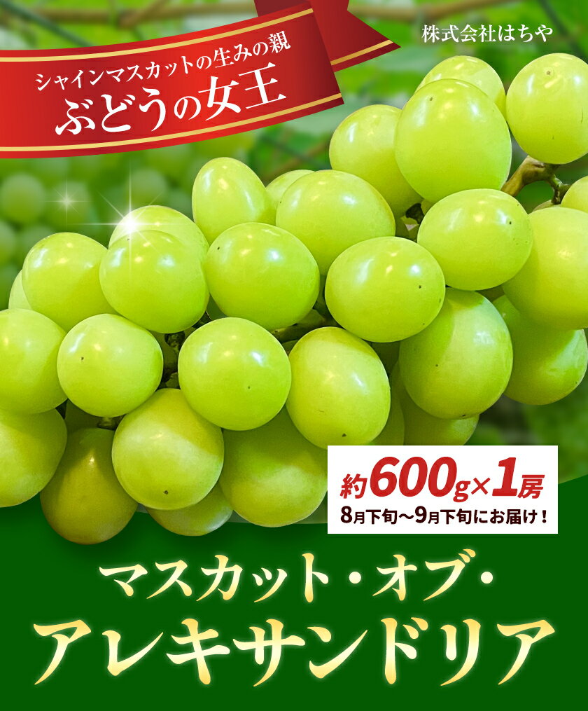 【ふるさと納税】【2026年先行予約】岡山県産 ぶどう マスカット・オブ・アレキサンドリア 600g 株式会社 はちや《2026年8月下旬-9月下旬頃出荷》岡山 国産 葡萄 フルーツ 果物 岡山県 浅口市 フルーツ 果物 マスカット オブ アレキサンドリア【配送不可地域あり】 サムネイル2