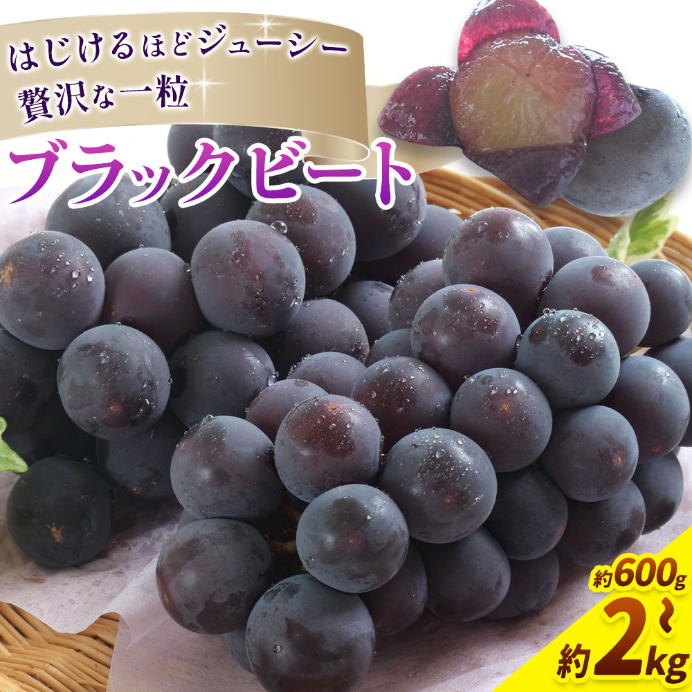 【2026年先行予約】岡山県産 ぶどう ブラックビート 選べる 計 600g 700g 800g 1kg 1.2kg 1.5kg 2kg 株式会社 はちや《2026年8月上旬-9月上旬頃出荷》岡山 国産 葡萄 フルーツ 果物 岡山県 浅口市 フルーツ 果物【配送不可地域あり】
