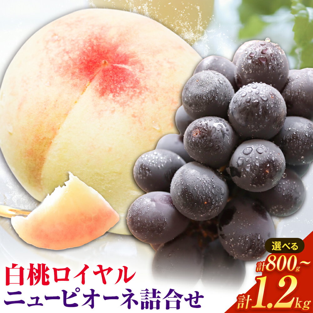 【2026年先行予約】岡山県産 白桃ロイヤルニューピオーネ詰合せ 選べる 計800g～計1.2kg 株式会社はちや《2026年7月上旬‐8月下旬頃出荷》岡山県 浅口市 白桃 桃 ぶどう 葡萄 フルーツ ギフト 果物 デザート 国産 送料無料【配送不可地域あり】