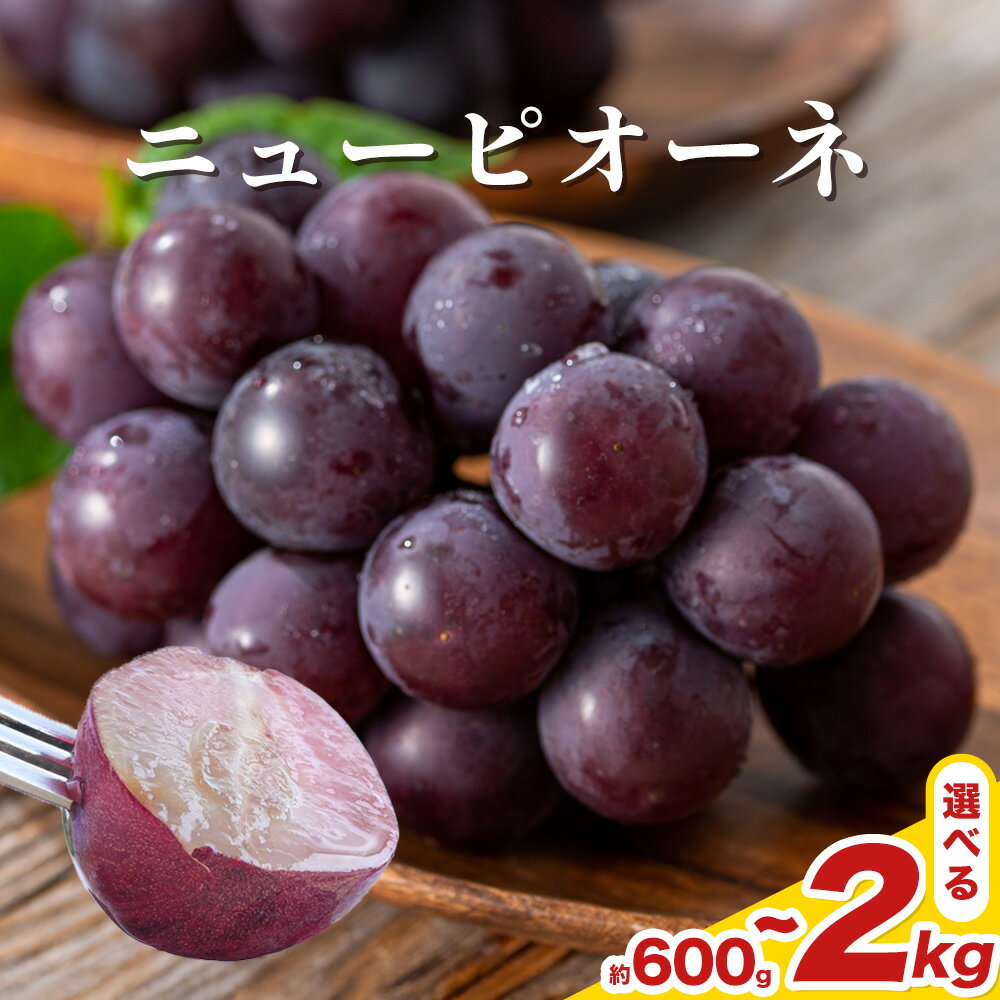 【2026年先行予約】 岡山県産 ニューピオーネ詰合せ 選べる 計600g～2kg 株式会社はちや《2026年6月下旬‐7月下旬頃出荷》岡山県 浅口市 ぶどう 葡萄 フルーツ ギフト 果物 デザート 国産 送料無料【配送不可地域あり】