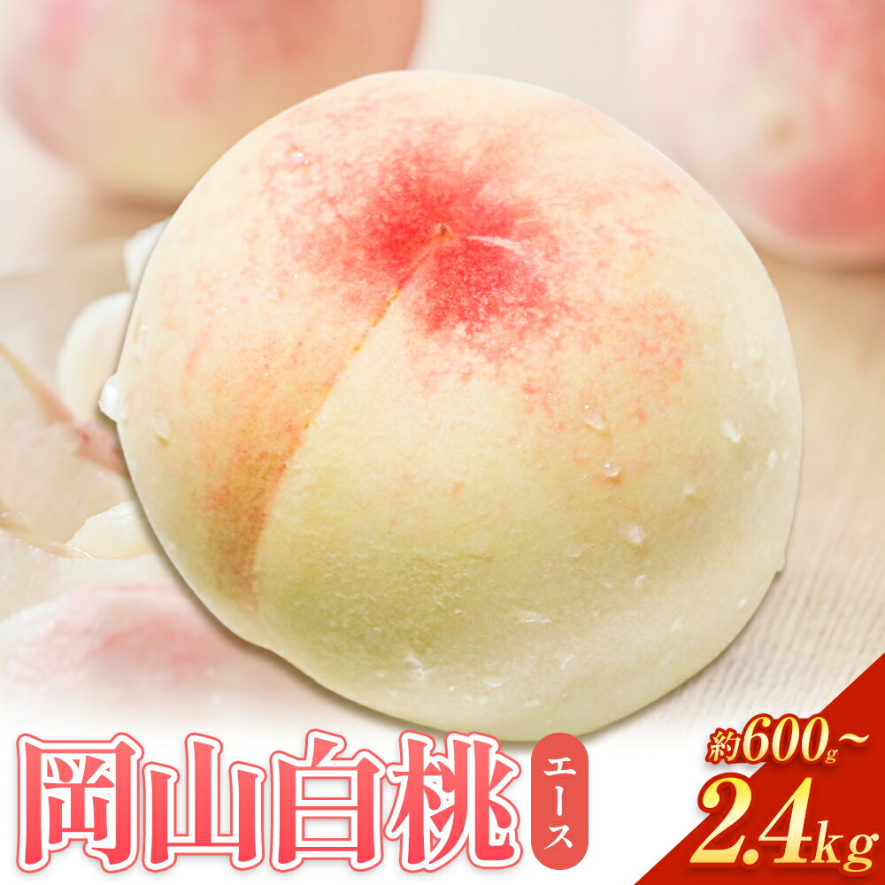 【2026年先行予約】岡山白桃 等級 エース 【選べる】約600g~2.4kg 《2026年7月上旬‐8月下旬頃出荷》株式会社 はちや もも モモ 岡山 国産 フルーツ 果物 岡山県 浅口市 フルーツ モモ 果物 青果 旬 白桃 国産 岡山県産【配送不可地域あり】