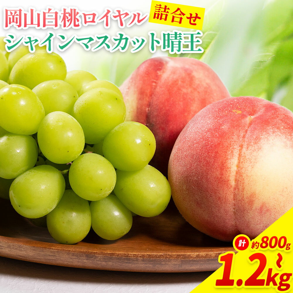 【2026年先行予約】岡山県産 岡山白桃 ロイヤル L~ 3Lサイズ シャインマスカット 選べる 計 800g 1kg 1.2kg 詰合せ 株式会社 はちや《2026年7月上旬‐8月下旬頃出荷》もも 岡山 国産 フルーツ 果物 岡山県 浅口市 フルーツ モモ 果物【配送不可地域あり】