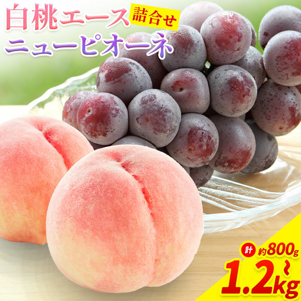 【2026年先行予約】岡山県産 岡山白桃 エース L~ 3Lサイズ ニューピオーネ 選べる 計 800g 1kg 1.2kg 詰合せ 株式会社 はちや《2026年7月上旬‐8月下旬頃出荷》もも 岡山 国産 フルーツ 果物 岡山県 浅口市 フルーツ モモ 果物【配送不可地域あり】