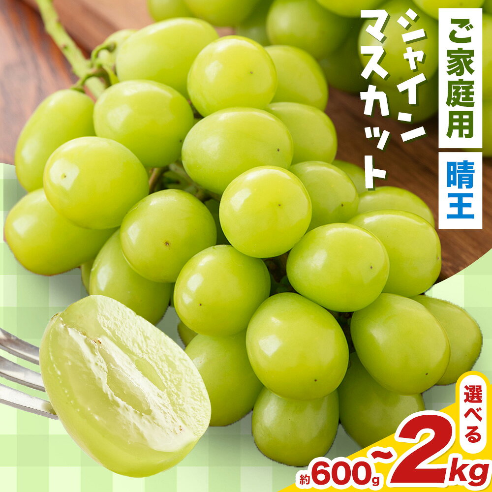 岡山県産 ご家庭用シャインマスカット 晴王 選べる 計600g～2kg 株式会社はちや《2026年8月下旬-11月下旬頃出荷》岡山県 浅口市 ぶどう 葡萄 フルーツ ギフト 果物 デザート 国産 送料無料【配送不可地域あり】