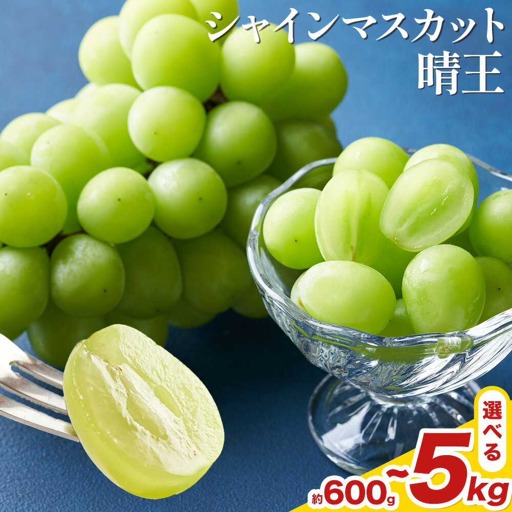 岡山県産 シャインマスカット 晴王 選べる 計600g～5kg 株式会社はちや《2026年8月下旬‐11月下旬頃出荷》岡山県 浅口市 ぶどう 葡萄 フルーツ ギフト 果物 デザート 国産 送料無料【配送不可地域あり】