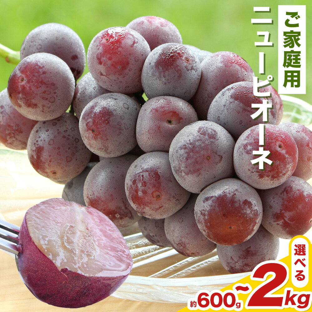 【2026年先行予約】岡山県産 ご家庭用 ニューピオーネ詰合せ 選べる 計600g～2kg 株式会社はちや《2026年8月下旬-9月下旬頃出荷》岡山県 浅口市 ぶどう 葡萄 フルーツ ギフト 果物 デザート 国産 送料無料【配送不可地域あり】
