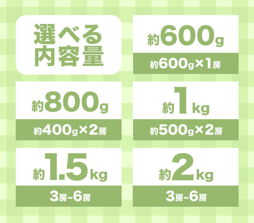 【ふるさと納税】 【2026年先行予約】岡山県産 ご家庭用 ニューピオーネ詰合せ 選べる 計600g～2kg 株式会社はちや《2026年8月下旬-9月下旬頃出荷》岡山県 浅口市 ぶどう 葡萄 フルーツ ギフト 果物 デザート 国産 送料無料【配送不可地域あり】 サムネイル3