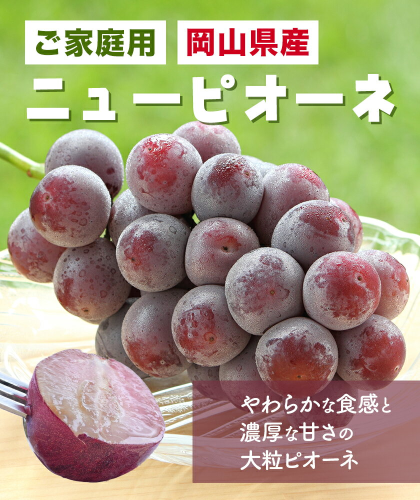 【ふるさと納税】 【2026年先行予約】岡山県産 ご家庭用 ニューピオーネ詰合せ 選べる 計600g～2kg 株式会社はちや《2026年8月下旬-9月下旬頃出荷》岡山県 浅口市 ぶどう 葡萄 フルーツ ギフト 果物 デザート 国産 送料無料【配送不可地域あり】 サムネイル2