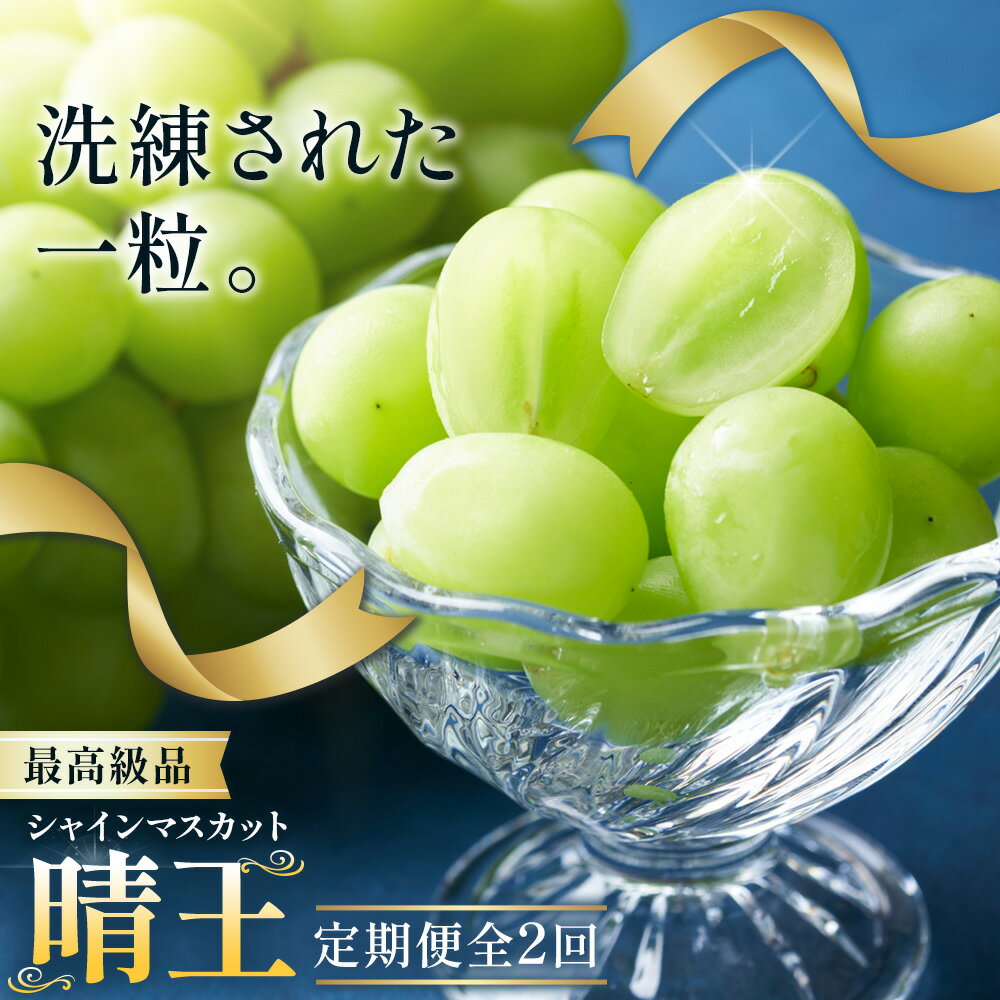 【2026年発送先行予約】シャインマスカット 晴王 2ヶ月 定期便 1房 約650g 2房 約1.3kg 最高級品 シャイン マスカット《2026年9月中旬-10月中旬頃出荷予定》 晴レ乃青果(岡山中央卸売市場店(富士紙工有限会社)) 送料無料 岡山県 果物 【配送不可地域あり】