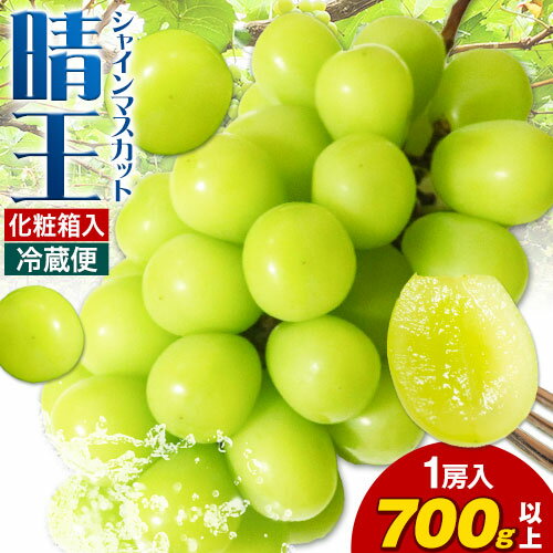 【2026年先行予約】シャインマスカット晴王 はれおう 1房入り(700g以上) 化粧箱入 株式会社山博(中本青果)《2026年8月下旬-10月上旬頃出荷》岡山県 浅口市 ぶどう マスカット 大粒 フルーツ 贈り物 お取り寄せフルーツ 送料無料【配送不可地域あり】