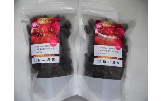 yy-24　安芸クイーン干しぶどうビッグセット