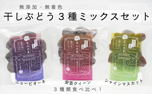 yy-22　シャインマスカット干しぶどう他3種ミックスセット