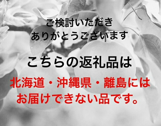 【ふるさと納税】【令和8年発送・先行予約】岡山のフルーツまるごと全部お届け全10回定期便　Bm-1 サムネイル3