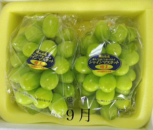 【ふるさと納税】【令和8年発送・先行予約】岡山県産 晴れの国岡山フルーツ7月9月11月定期便3回 化粧箱入り（岡山県 和気町 白桃 シャインマスカット あたご梨）GH-6　※北海道・沖縄県・離島への配送はできません。 サムネイル3