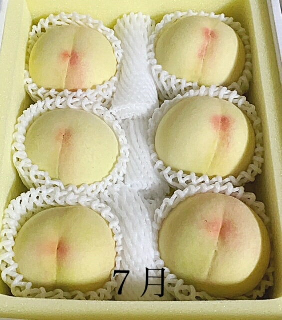 【ふるさと納税】【令和8年発送・先行予約】岡山県産 晴れの国岡山フルーツ7月8月定期便2回 化粧箱入り（岡山県 和気町 白桃 シャインマスカット）GT-1　※北海道・沖縄県・離島への配送はできません。 サムネイル2