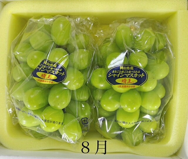 【ふるさと納税】【令和8年発送・先行予約】岡山県産 晴れの国岡山フルーツ7月8月定期便2回 化粧箱入り（岡山県 和気町 白桃 シャインマスカット）GT-1　※北海道・沖縄県・離島への配送はできません。 サムネイル3