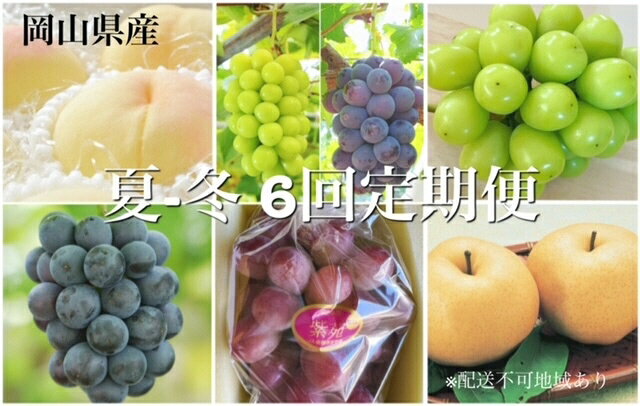 【令和8年発送・先行予約】岡山県産　晴れの国岡山フルーツ7月8月9月10月11月12月定期便6回　化粧箱入りB（岡山県 和気町 白桃 ピオーネ ニューピオーネ シャインマスカット 紫苑 あたご梨）dh-1　※北海道・沖縄県・離島への配送はできません。