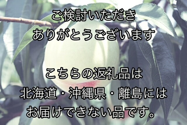 【ふるさと納税】【令和8年発送・先行予約】岡山県産　白桃（1玉200g以上）8玉　等級：ロイヤル　化粧箱入り　Fg-2 サムネイル3