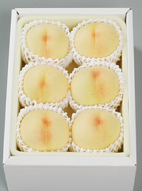 【ふるさと納税】【令和8年発送・先行予約】岡山県産　清水白桃（1玉250g以上）6玉　等級：ロイヤル　化粧箱入り　Hz-1 サムネイル2