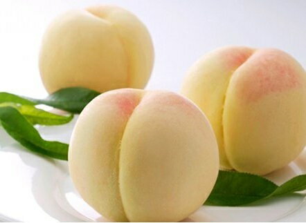 【令和8年発送】ご家庭用岡山白桃（早生）　BS-21