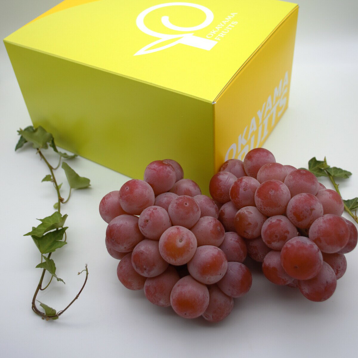 【令和8年発送】ご家庭用岡山県産クインニーナ　UU-12