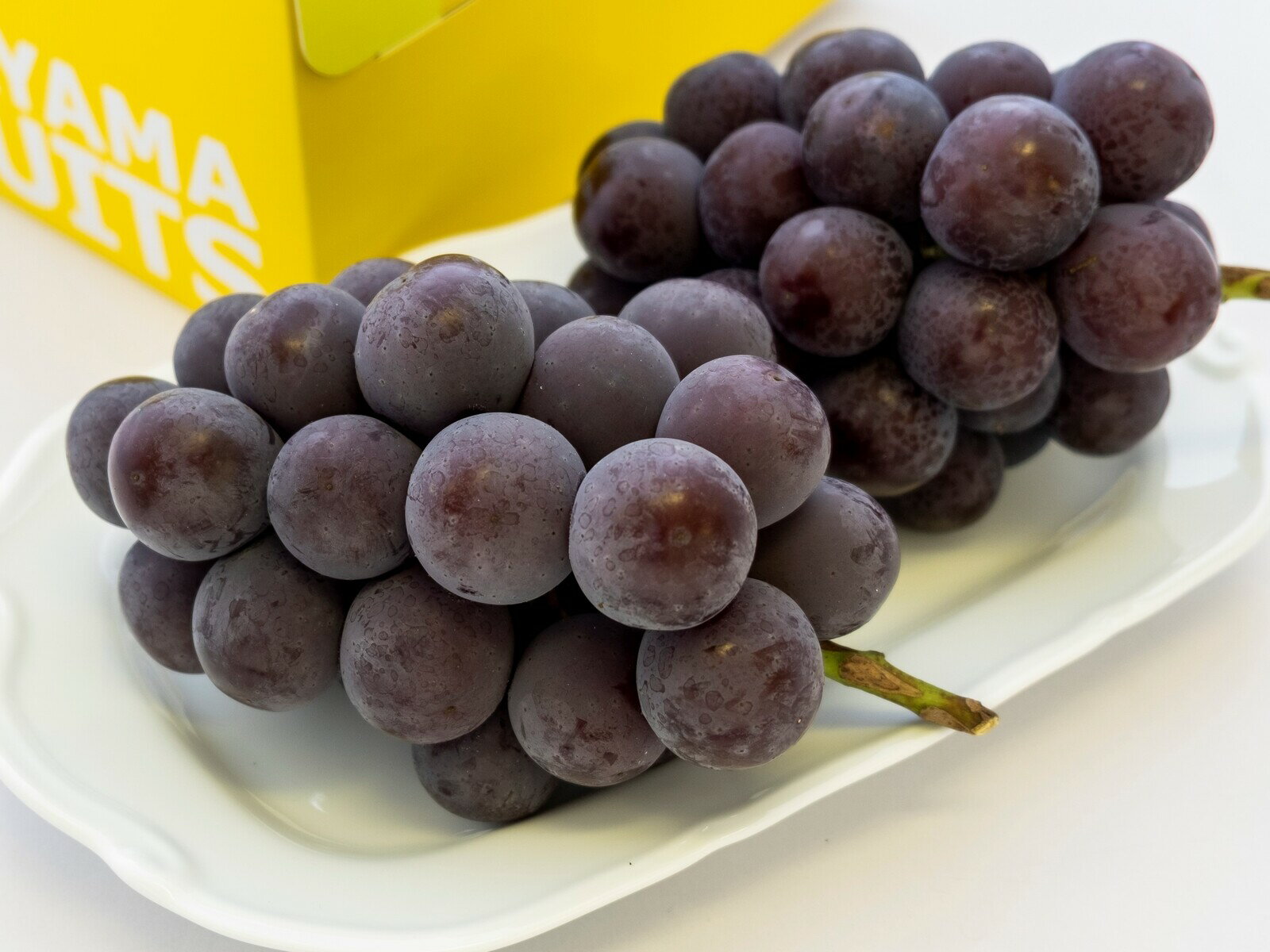 【令和8年発送】ご家庭用岡山県産ニューピオーネ　UU-13