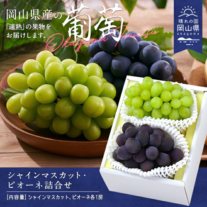 【令和8年発送】シャインマスカット・ピオーネ詰合せ　CS-13