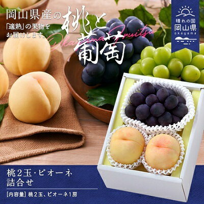【令和8年発送】桃・ピオーネ詰合せ　CY-2