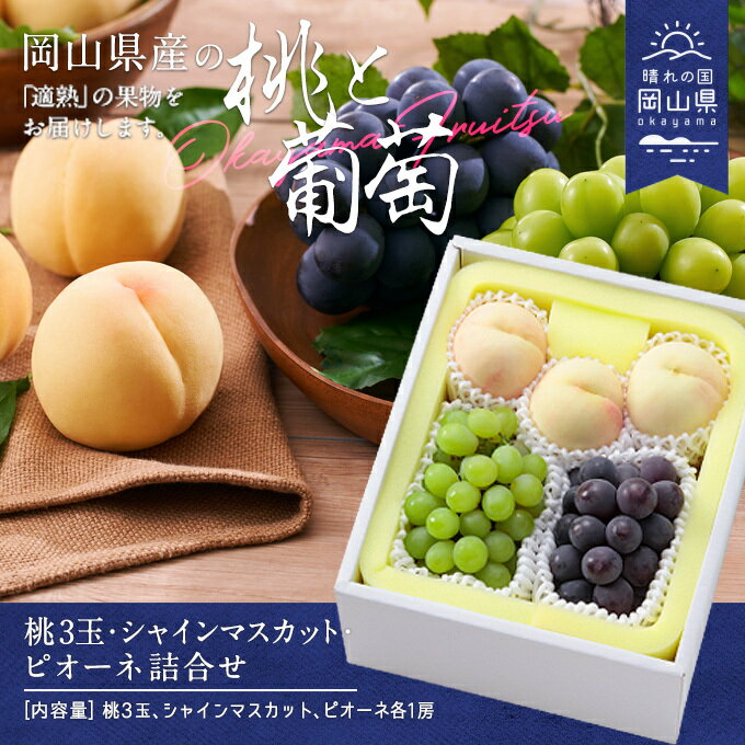 【令和8年発送】桃・シャインマスカット・ピオーネ詰合せ　CT-3