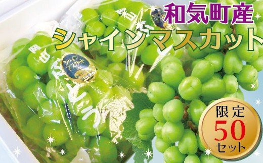 シャインマスカットぶどう1.0kg（1～2房）CC-83