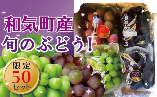 シャインマスカットと旬のぶどうセット2.0kg TT-116