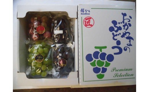 【ふるさと納税】シャインマスカットと旬のぶどうセット2.0kg TT-116 サムネイル2