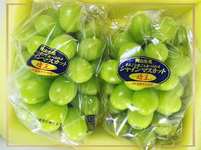 【ふるさと納税】【令和8年発送・先行予約】フルーツ定期便 全3回コースB（岡山県 和気町 ピオーネ ニューピオーネ 瀬戸ジャイアンツ シャインマスカット あたご梨）vv-110　※北海道・沖縄県・離島への配送はできません。 サムネイル3