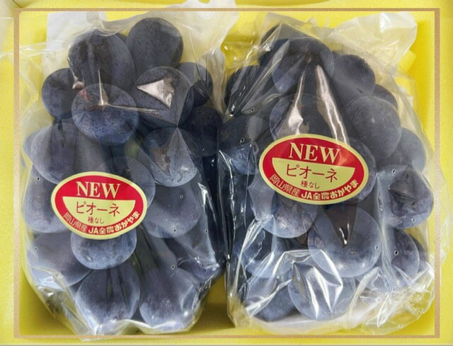 【ふるさと納税】【令和8年発送・先行予約】フルーツ定期便 全3回コースA（岡山県 和気町 ピオーネ ニューピオーネ シャインマスカット あたご梨）vv-109　※北海道・沖縄県・離島への配送はできません。 サムネイル2