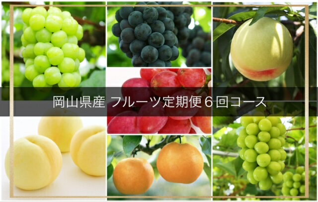 【令和8年発送・先行予約】岡山県産　晴れの国岡山フルーツ7月8月9月10月11月12月定期便6回　化粧箱入りA（清水白桃 白桃 ピオーネ ニューピオーネ 瀬戸ジャイアンツ シャインマスカット 紫苑 あたご梨）KK-6 ※北海道・沖縄県・離島への配送はできません。