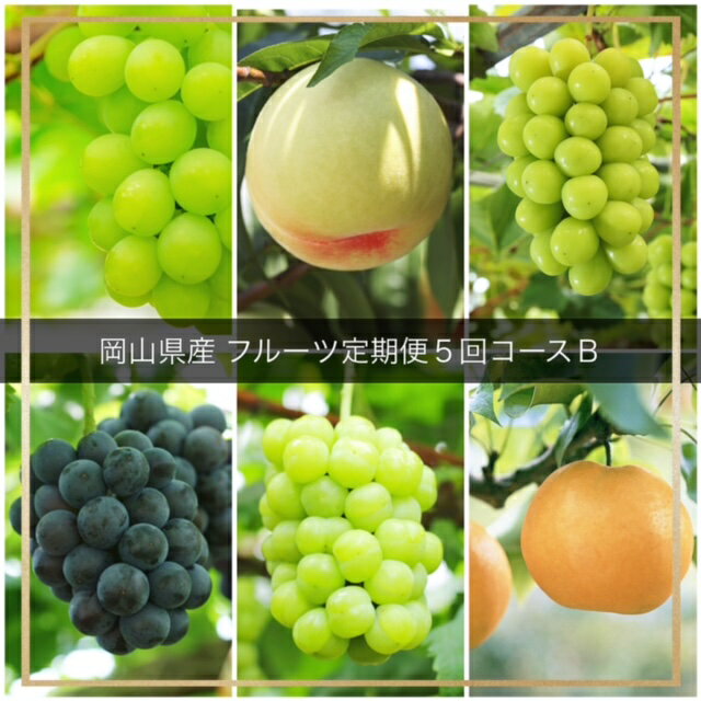 【令和8年発送・先行予約】フルーツ定期便5回コースB（岡山県 和気町 マスカット・オブ・アレキサンドリア 白桃 ピオーネ ニューピオーネ 瀬戸ジャイアンツ シャインマスカット あたご梨）JZ-1　※北海道・沖縄県・離島への配送はできません。