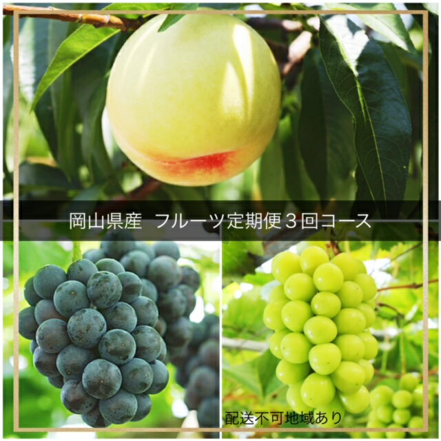 【令和8年発送・先行予約】フルーツ定期便3回コース（岡山県 和気町 白桃 ピオーネ ニューピオーネ シャインマスカット）IT-2　※北海道・沖縄県・離島への配送はできません。