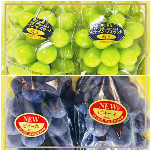 【ふるさと納税】【令和8年発送・先行予約】フルーツ定期便3回コース（岡山県 和気町 白桃 ピオーネ ニューピオーネ シャインマスカット）IT-2　※北海道・沖縄県・離島への配送はできません。 サムネイル3