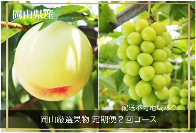 【令和8年発送・先行予約】岡山県産 晴れの国岡山フルーツ7月8月定期便2回 化粧箱入り（岡山県 和気町 白桃 シャインマスカット）GT-1　※北海道・沖縄県・離島への配送はできません。