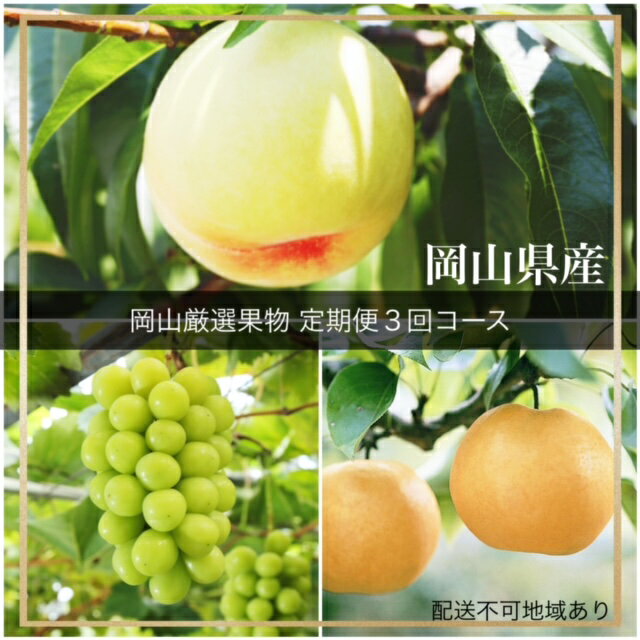 【令和8年発送・先行予約】岡山県産 晴れの国岡山フルーツ7月9月11月定期便3回 化粧箱入り（岡山県 和気町 白桃 シャインマスカット あたご梨）GH-6　※北海道・沖縄県・離島への配送はできません。