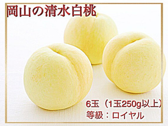 【令和8年発送・先行予約】岡山県産　清水白桃（1玉250g以上）6玉　等級：ロイヤル　化粧箱入り　Hz-1