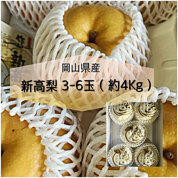 【令和8年発送・先行予約】岡山県産 新高梨 3-6玉（約4kg） 化粧箱入り　aa-107