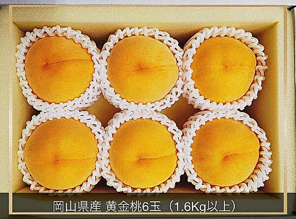 【令和8年発送・先行予約】岡山県産 黄金桃 6玉（合計1.6kg以上）化粧箱入り Cz-11