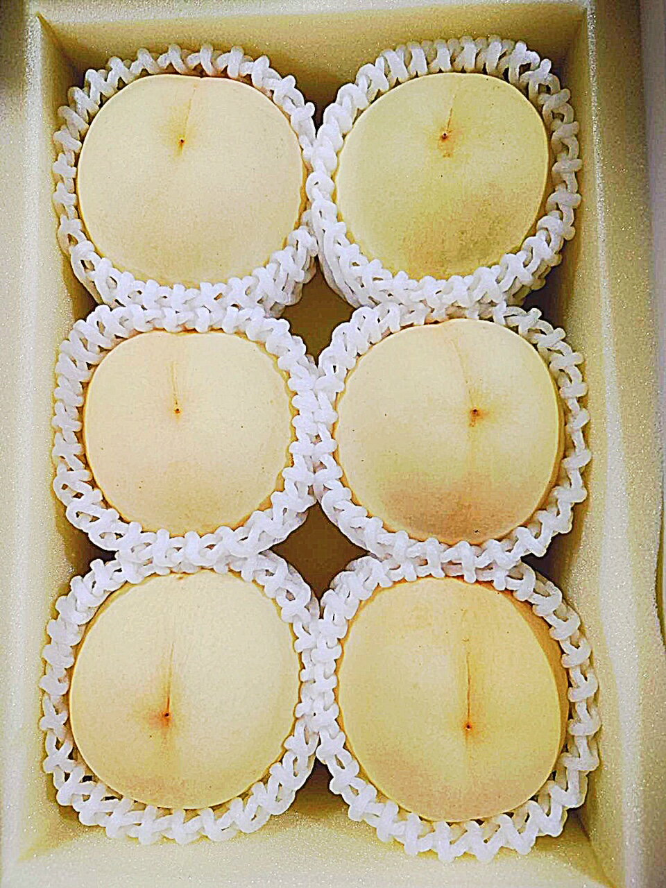 【ふるさと納税】【令和8年発送・先行予約】岡山県産 桃食べ比べ全2回コース Fg-8 サムネイル2