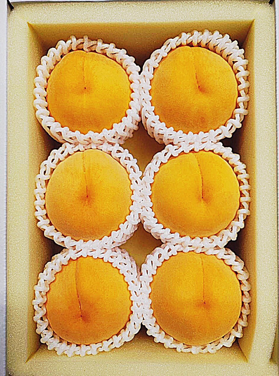 【ふるさと納税】【令和8年発送・先行予約】岡山県産 桃食べ比べ全2回コース Fg-8 サムネイル3