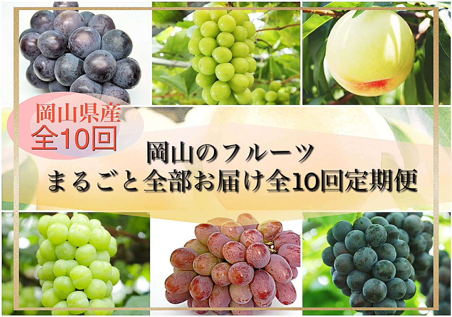 【令和8年発送・先行予約】岡山のフルーツまるごと全部お届け全10回定期便　Bm-1