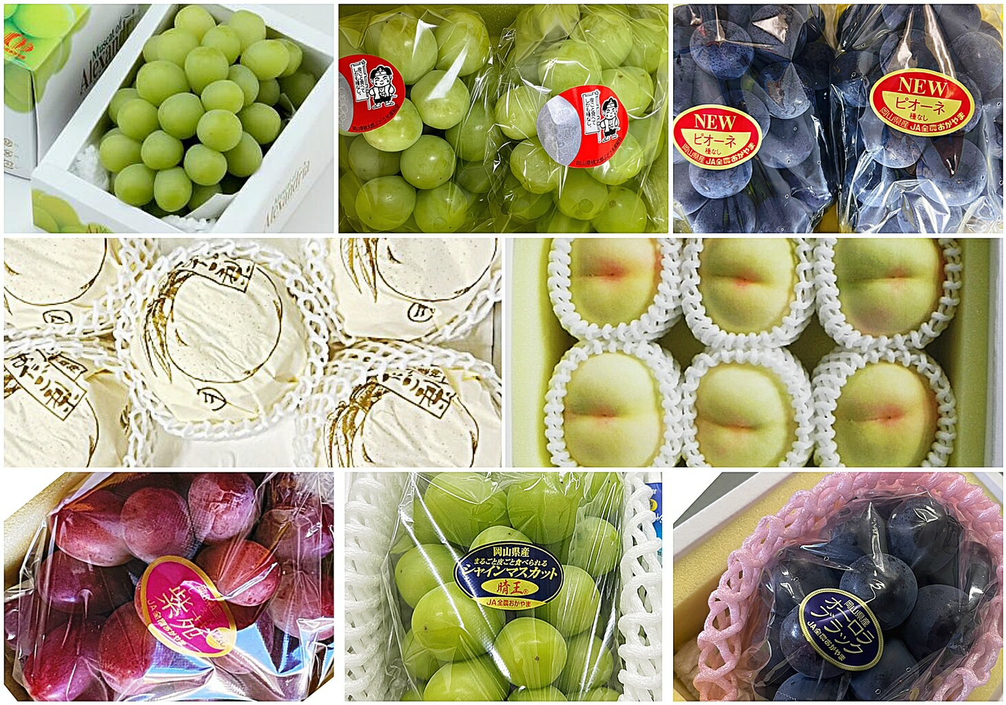 【ふるさと納税】【令和8年発送・先行予約】岡山のフルーツまるごと全部お届け全10回定期便　Bm-1 サムネイル2